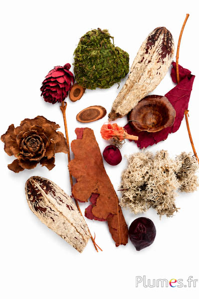 Assortimento decorativo - miscela vegetale essiccata - naturale